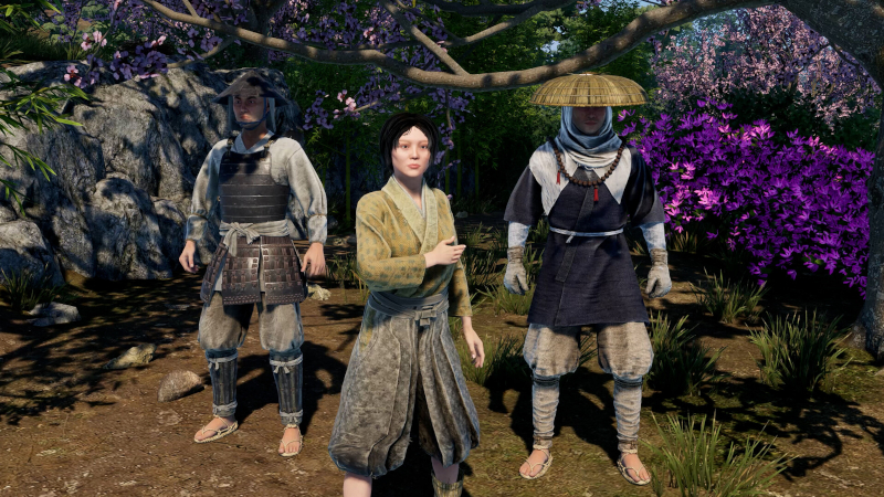Sengoku Dynasty Review